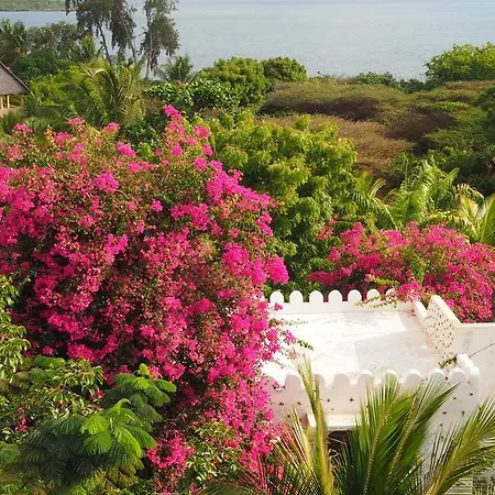 Bed & Breakfast Sweet Banana House 2*